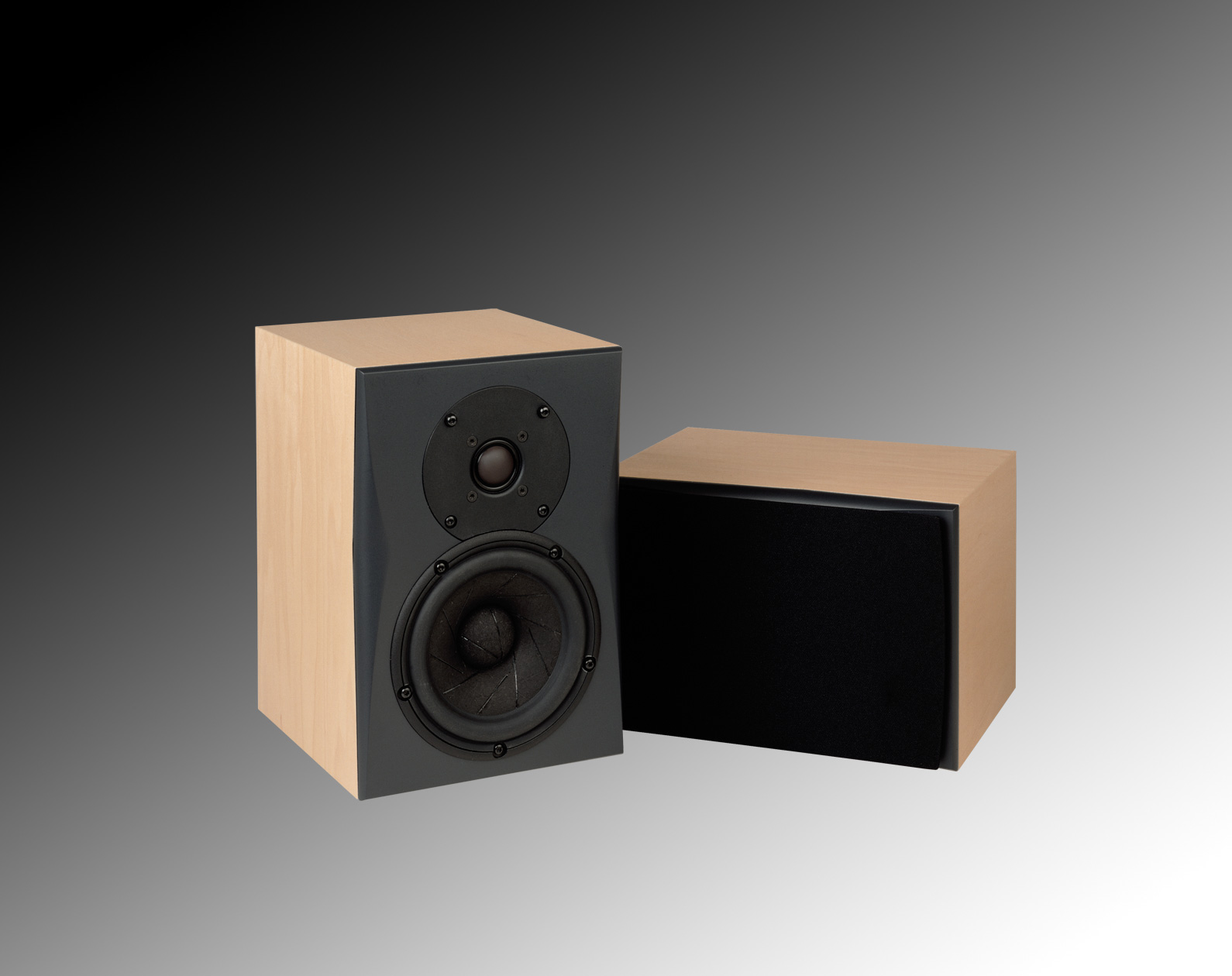 Triad Speaker In-Room Silver MiniMonitor | AOE - Your  