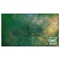Severtson Narrow Frame Series Fixed Frame Projector Screen