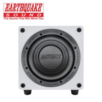 MiniMe DSP P8W