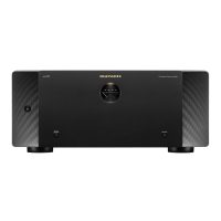 Marantz AMP 10