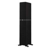Definitive Technology Dymension DM40